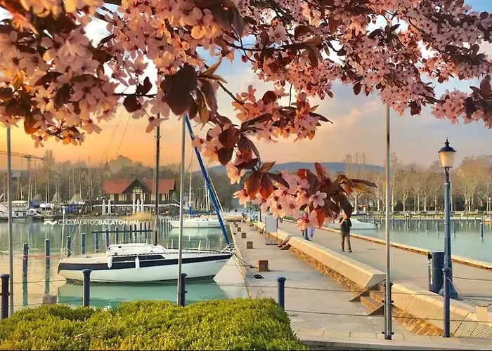 Blue Horizon 公寓 巴拉顿菲赖德